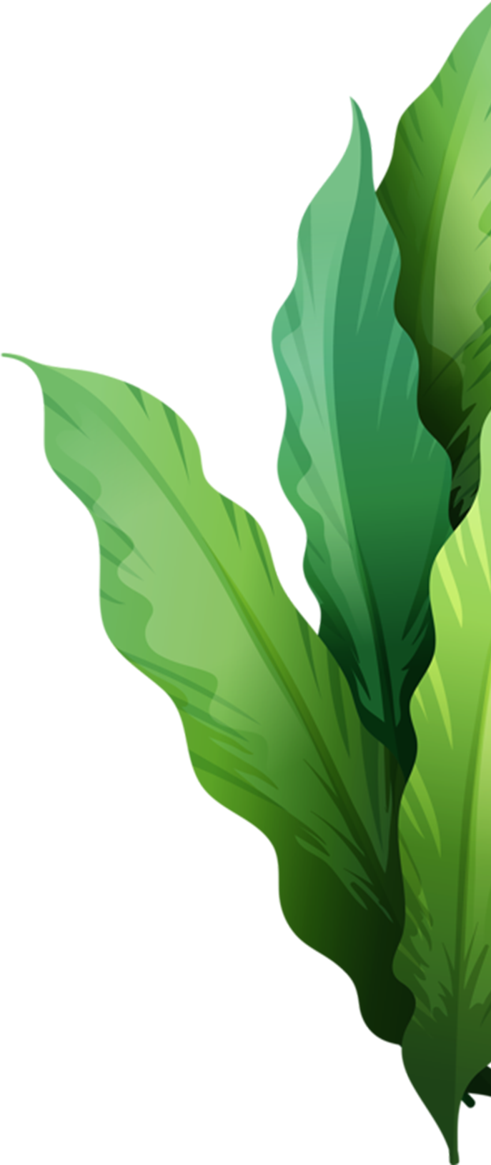 Cipem (Centro das Indústrias Produtoras e Exportadoras de Madeira de Mato Grosso)