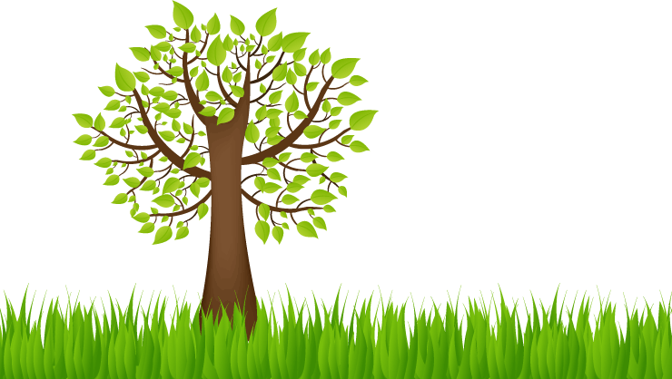 Cipem (Centro das Indústrias Produtoras e Exportadoras de Madeira de Mato Grosso)