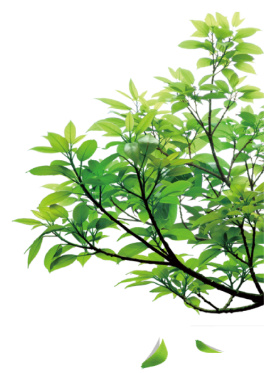 Cipem%20(Centro%20das%20Indústrias%20Produtoras%20e%20Exportadoras%20de%20Madeira%20de%20Mato%20Grosso)