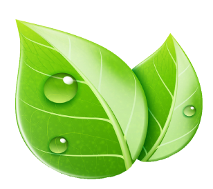 Cipem%20(Centro%20das%20Indústrias%20Produtoras%20e%20Exportadoras%20de%20Madeira%20de%20Mato%20Grosso)