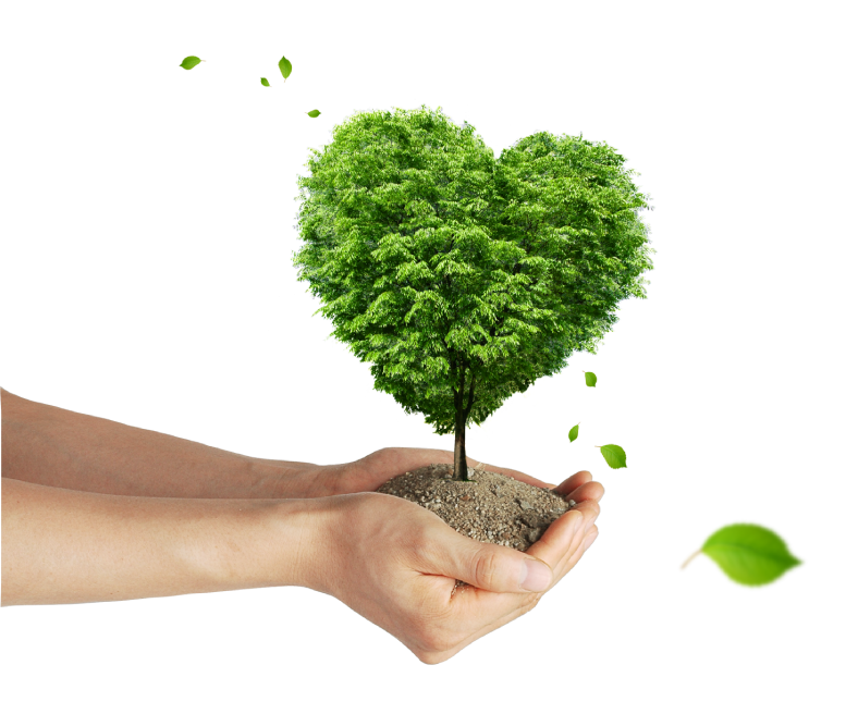 Cipem (Centro das Indústrias Produtoras e Exportadoras de Madeira de Mato Grosso)