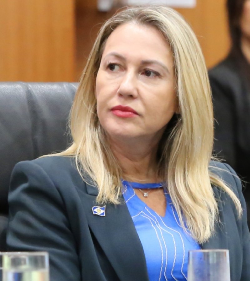 Cipem%20(Centro%20das%20Indústrias%20Produtoras%20e%20Exportadoras%20de%20Madeira%20de%20Mato%20Grosso)