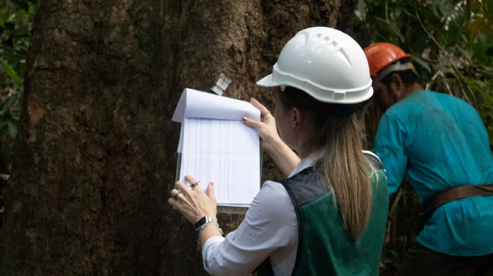 Cipem%20(Centro%20das%20Indústrias%20Produtoras%20e%20Exportadoras%20de%20Madeira%20de%20Mato%20Grosso)