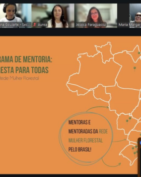 Cipem (Centro das Indústrias Produtoras e Exportadoras de Madeira de Mato Grosso)