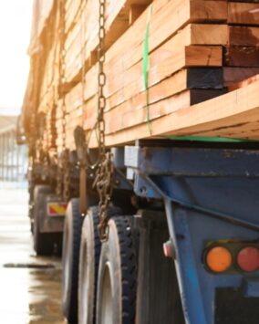 Cipem (Centro das Indústrias Produtoras e Exportadoras de Madeira de Mato Grosso)