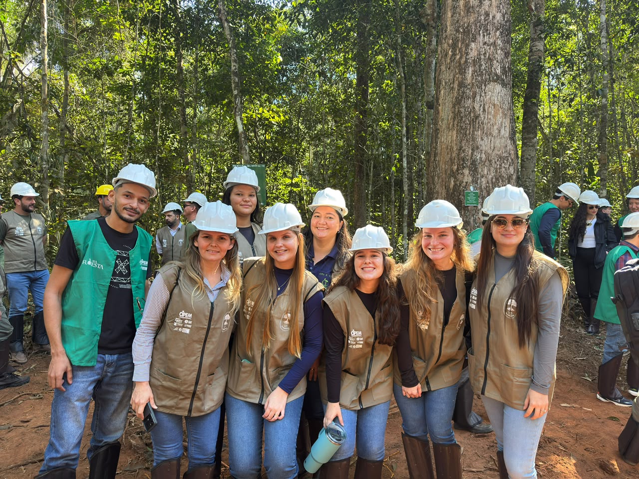 Cipem (Centro das Indústrias Produtoras e Exportadoras de Madeira de Mato Grosso)