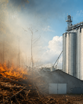 Cipem (Centro das Indústrias Produtoras e Exportadoras de Madeira de Mato Grosso)