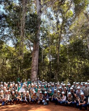 Cipem (Centro das Indústrias Produtoras e Exportadoras de Madeira de Mato Grosso)