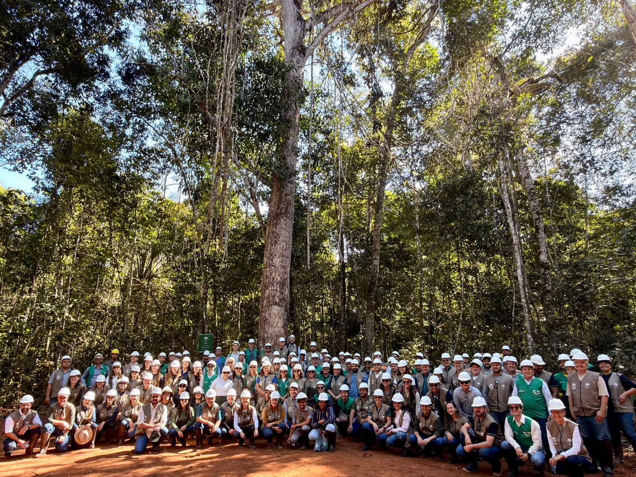 Cipem (Centro das Indústrias Produtoras e Exportadoras de Madeira de Mato Grosso)