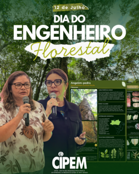 Cipem (Centro das Indústrias Produtoras e Exportadoras de Madeira de Mato Grosso)