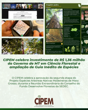 Cipem (Centro das Indústrias Produtoras e Exportadoras de Madeira de Mato Grosso)