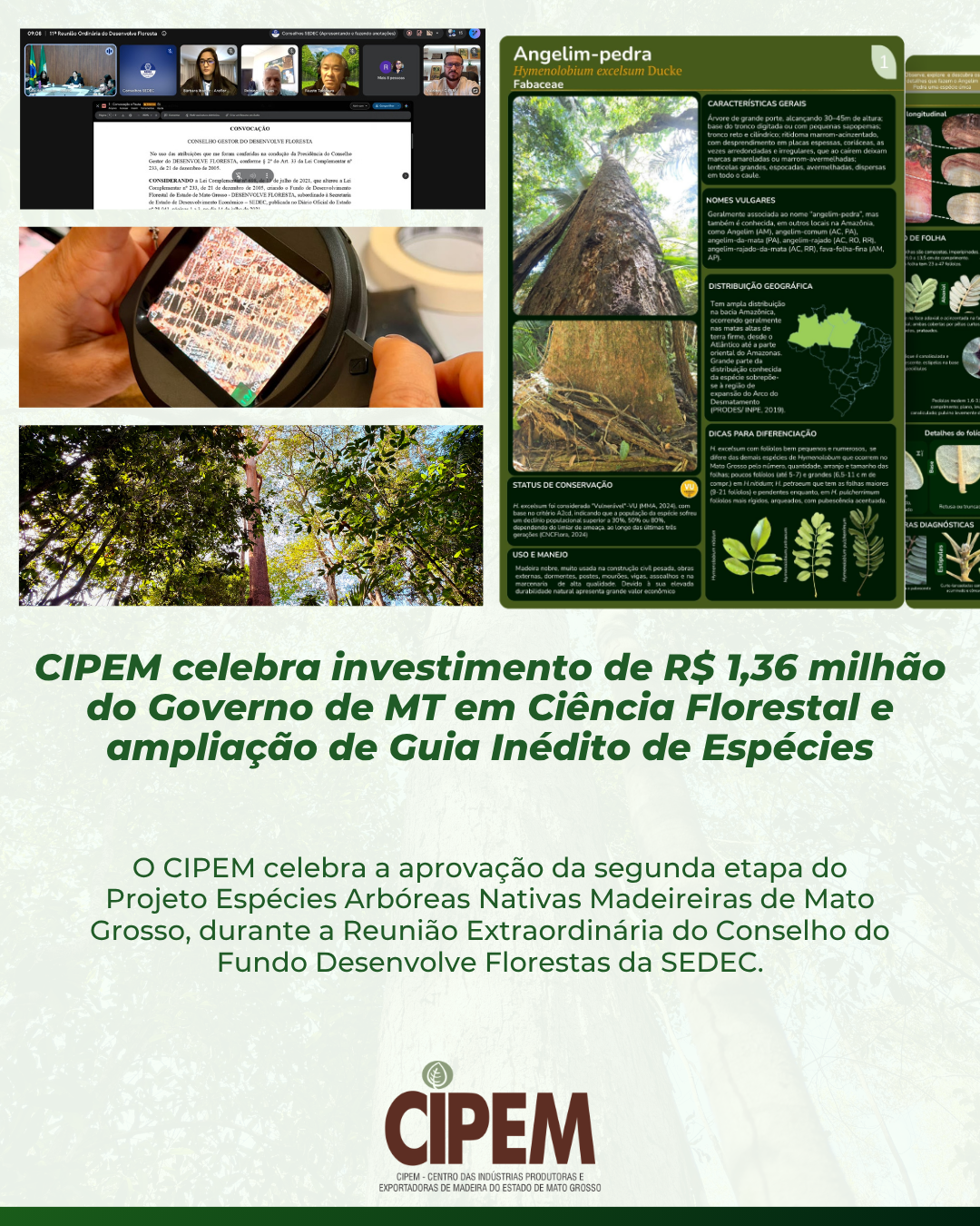 Cipem (Centro das Indústrias Produtoras e Exportadoras de Madeira de Mato Grosso)